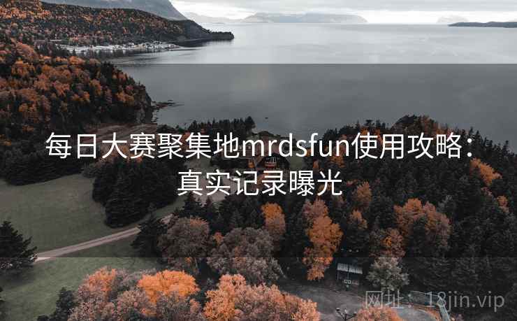 每日大赛聚集地mrdsfun使用攻略：真实记录曝光